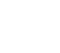 TDX